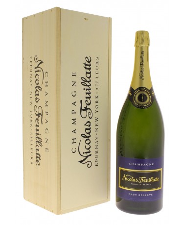 Nicolas Feuillatte Brut Reserve Cuvee Champagne 6 Bottle Case