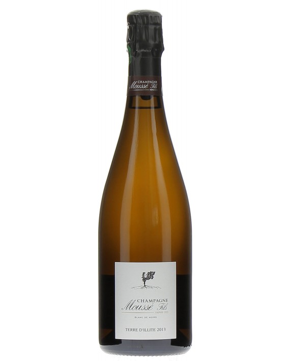 Champagne Moussé Fils Terre d'Illite 2013 75cl