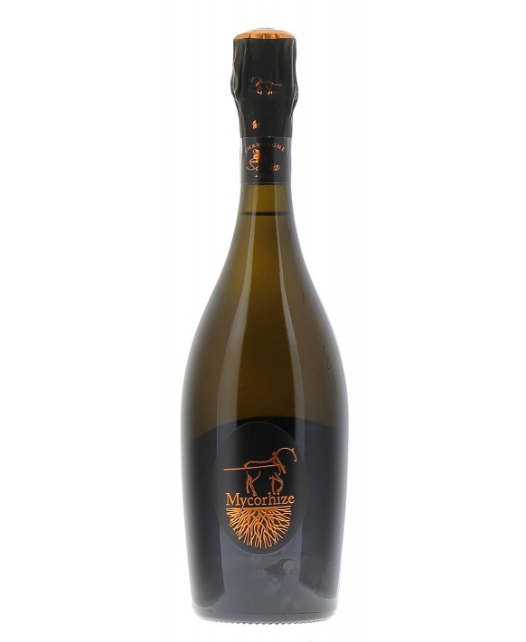 Champagne De Sousa Cuvée Mycorhize 75cl