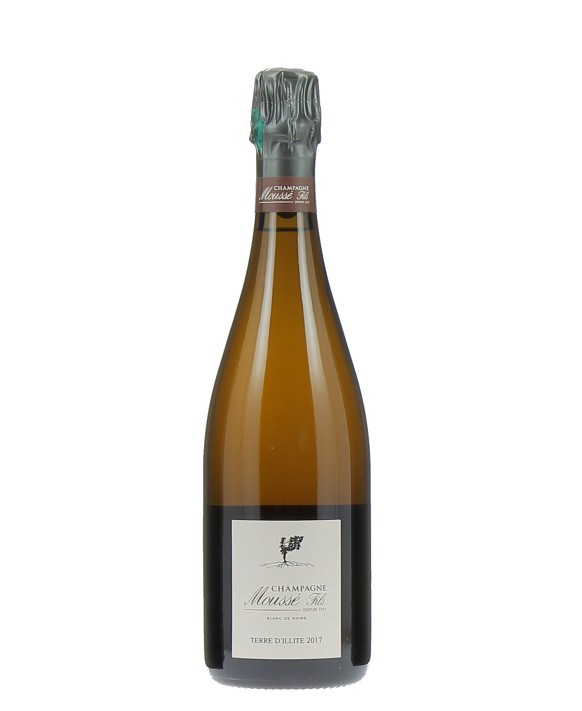 Champagne Moussé Fils Terre d'Illite 2017 75cl
