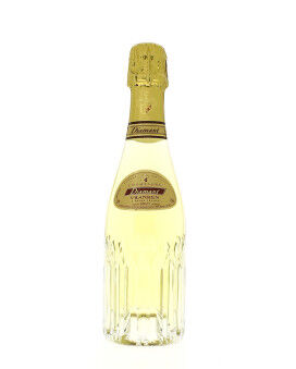 Champagne Diamant Vranken Brut demi-bouteille