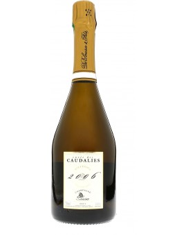 Champagne De Sousa Cuvee caudalies 2006