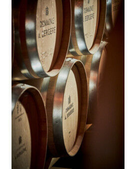 Champagne A.Bergere
