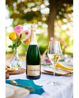 Canard Duchene Champagne