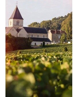 Champagne Delamotte