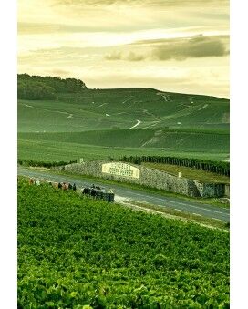 Champagne Joseph Perrier