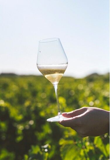 Champagne Lafitte