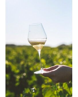 Lafitte Champagne