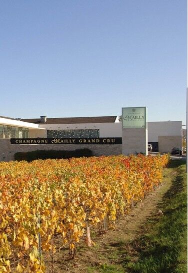 Champagne Mailly Grand Cru