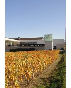 Mailly Grand Cru Champagne