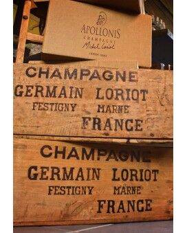 Champagne Apollonis
