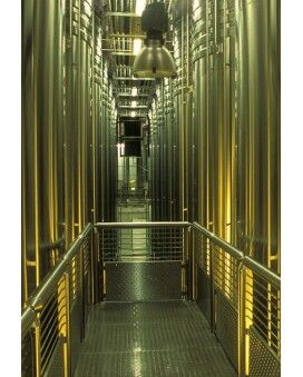Nicolas Feuillatte Champagne