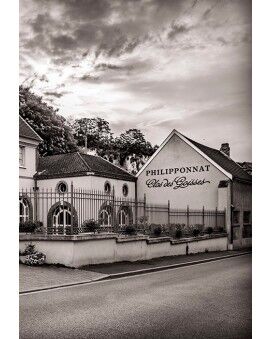 Philipponnat Champagne