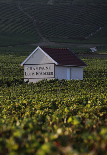 Champagne Louis Roederer
