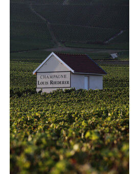 Louis Roederer Champagne