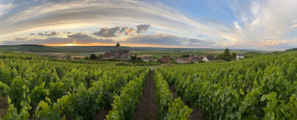 Eglise-de-Cuis-entoure?-de-nos-vignobles-2020-1