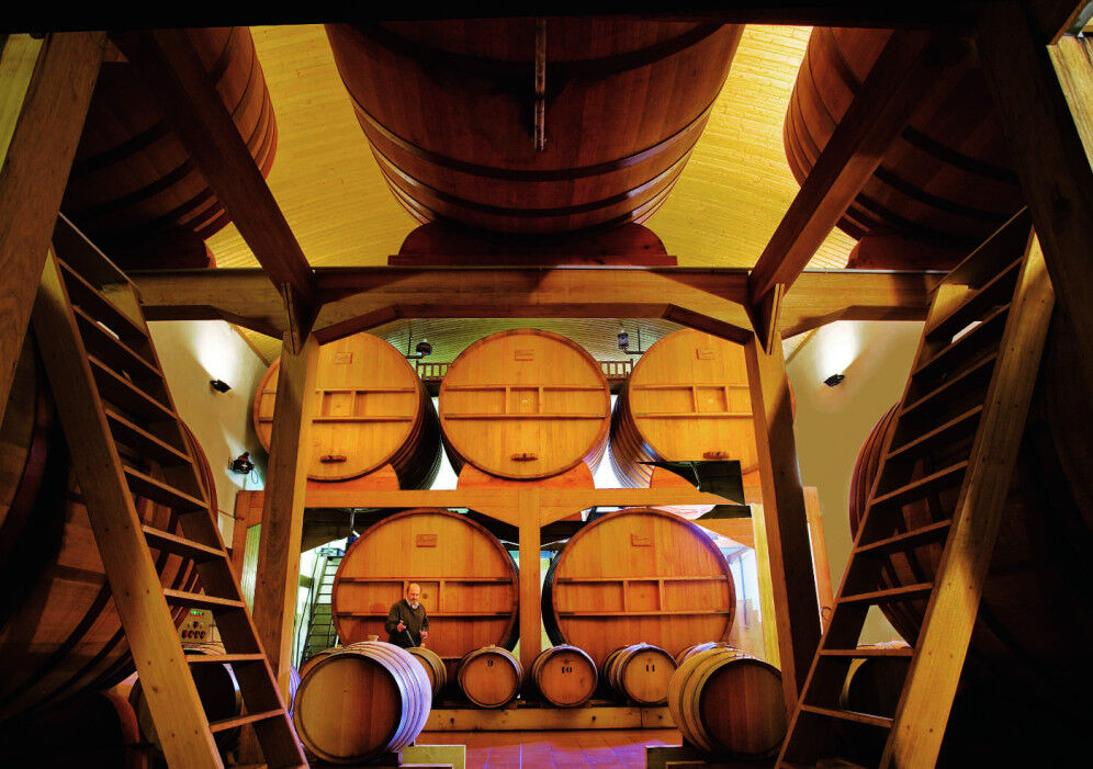 Salle-des-foudres-MParisot-MD-Champagne-Devaux
