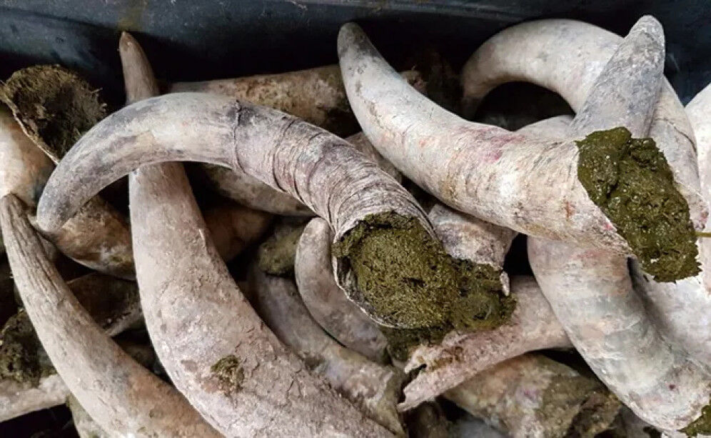 biodynamie-165547