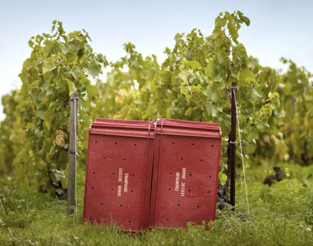 Champagne Leclerc Briant