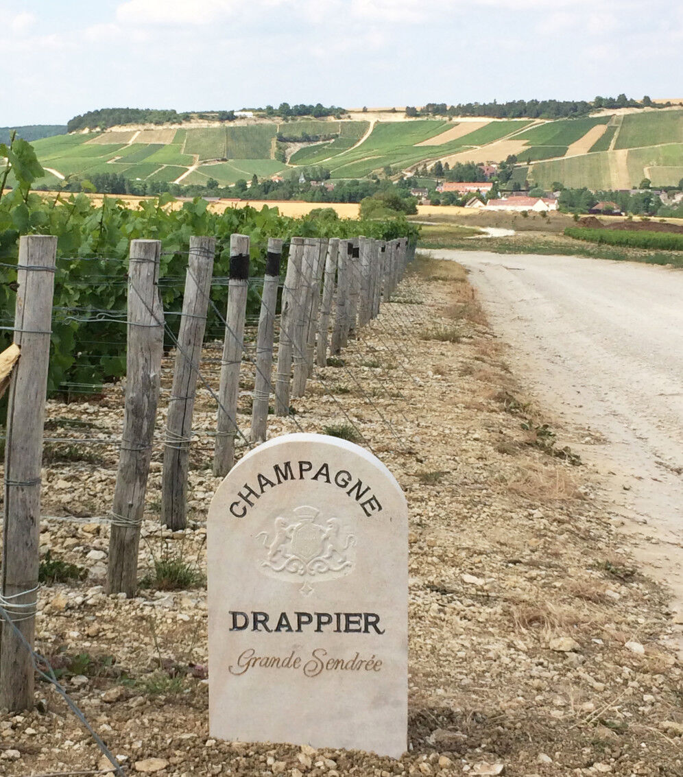 Champagne Grande Sendrée