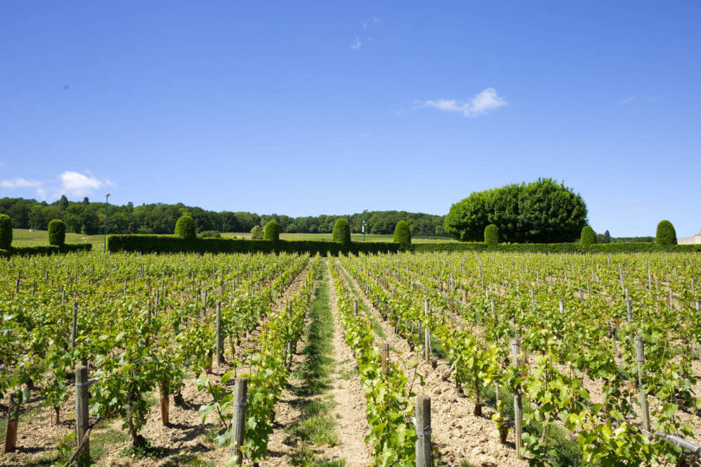ChampagneSalon_Photo_SKOHLER_2326