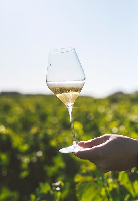 Lafitte Champagne