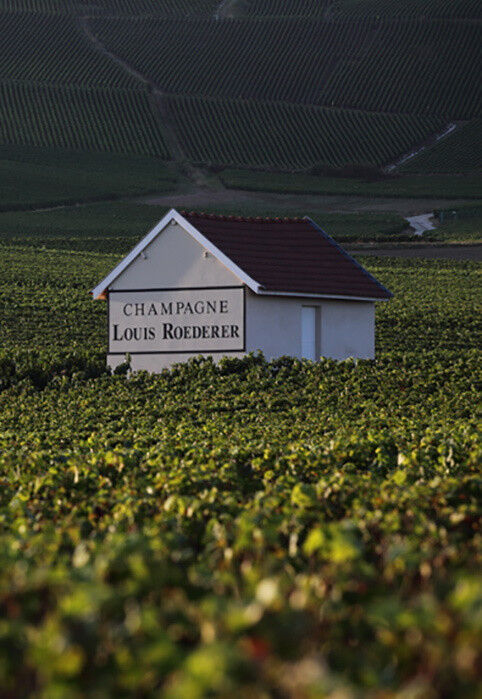 Champagne Louis Roederer