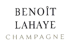 Benoît Lahaye